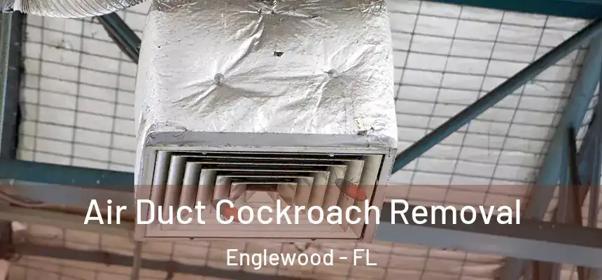 Air Duct Cockroach Removal Englewood - FL