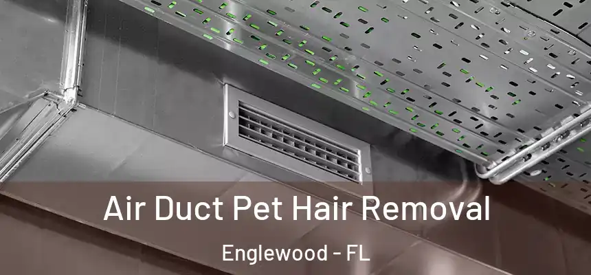 Air Duct Pet Hair Removal Englewood - FL