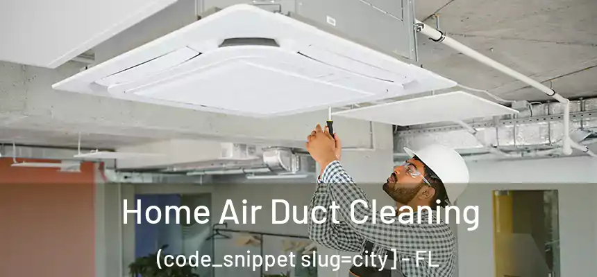  Home Air Duct Cleaning (code_snippet slug=city] - FL