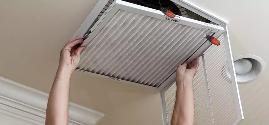 Our Insect Removal from Air Ducts Services in Englewood, FL
