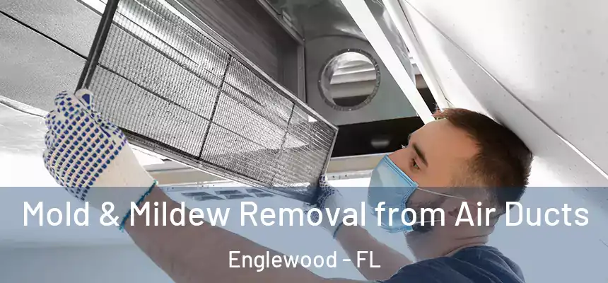Mold & Mildew Removal from Air Ducts Englewood - FL