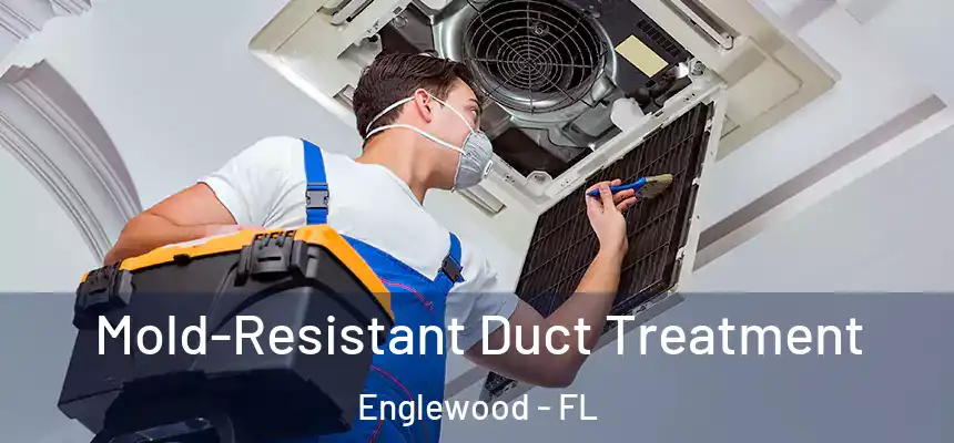  Mold-Resistant Duct Treatment Englewood - FL