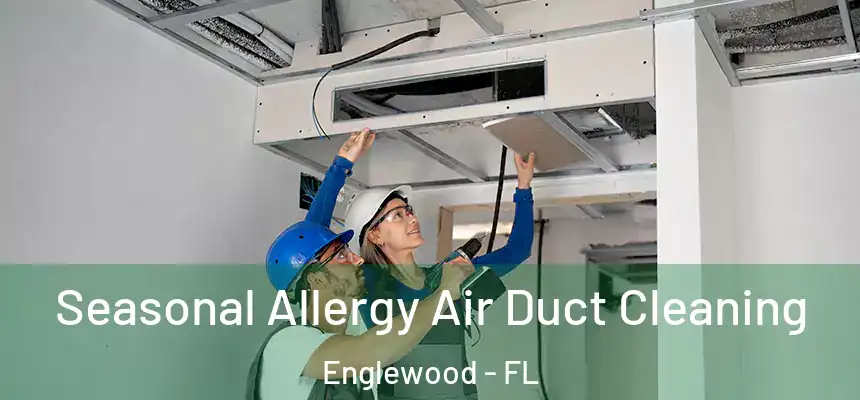 Seasonal Allergy Air Duct Cleaning Englewood - FL