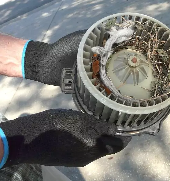 About Air Duct Mice Removal in Englewood, FL