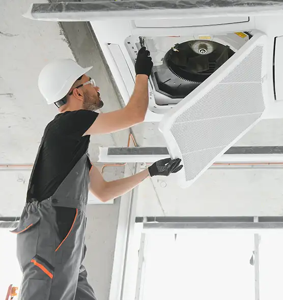 About Air Duct Rodent Removal in Englewood, FL