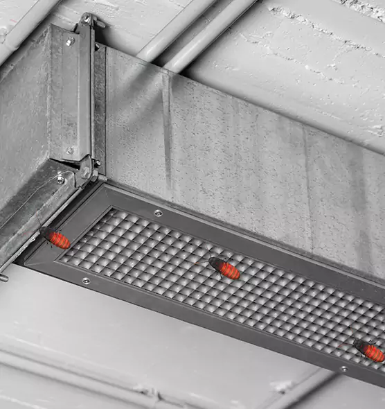 Affordable Insect Removal from Air Ducts in Englewood, FL