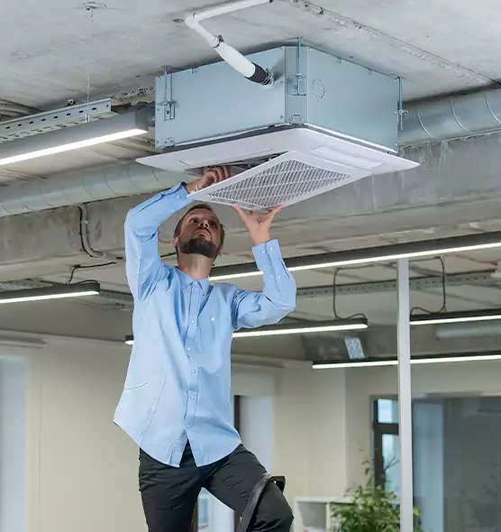Advanced Rodent Droppings In Vents in Englewood, FL