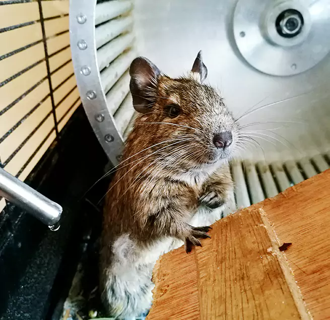 Why Homeowners & Businesses Trust Us Englewood, FL