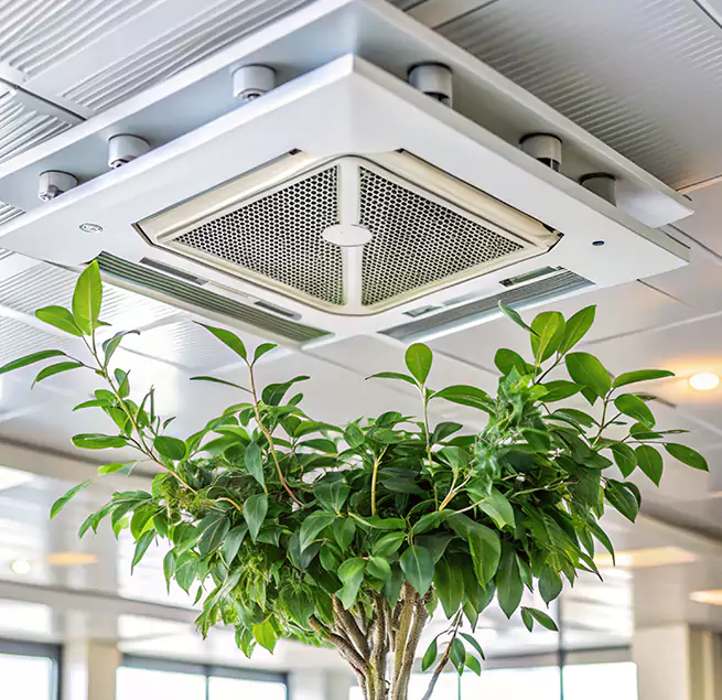 Why Homeowners & Businesses Trust Us in Englewood, FL?